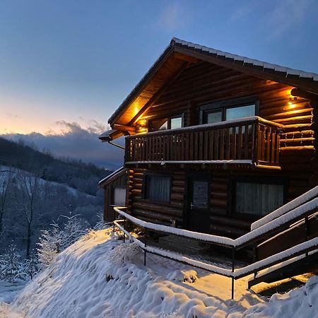 Bellevue Chalet Rîşnov Exteriör bild