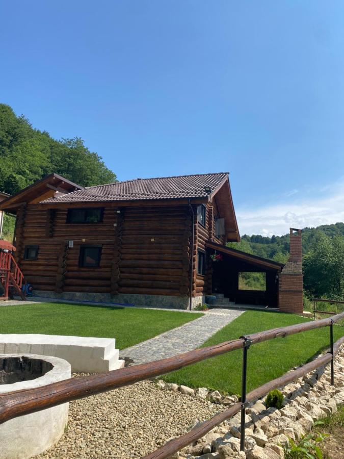 Bellevue Chalet Rîşnov Exteriör bild